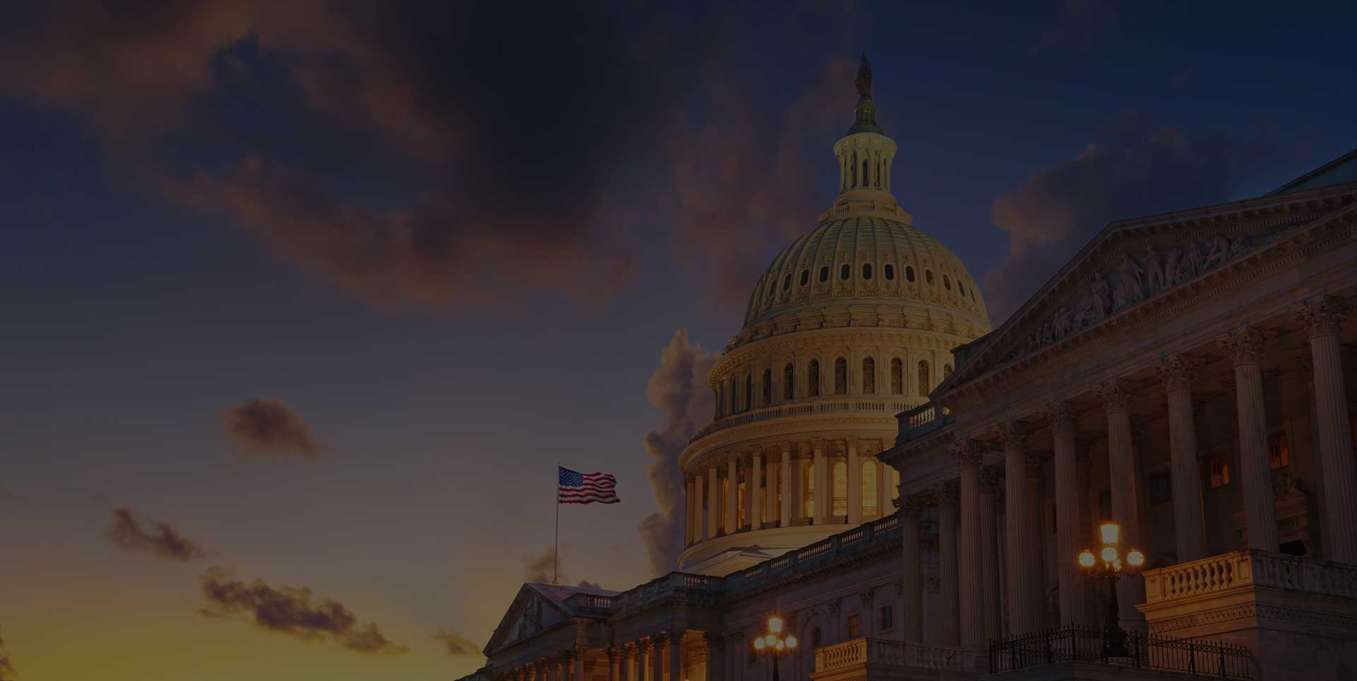 Government & Public Official Protection